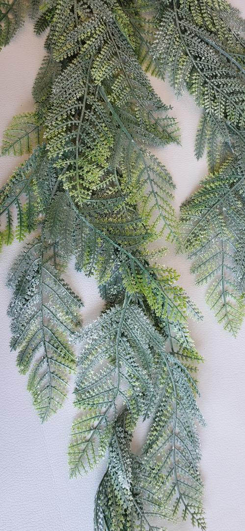 Feriga Curgatoare Verde-Grii