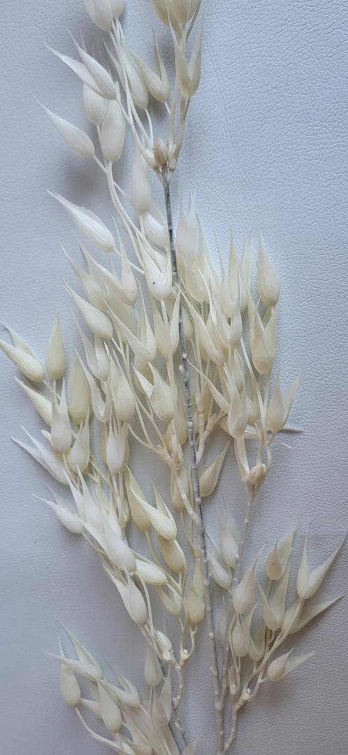 Creanga Decorativa Alba