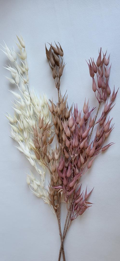 Creanga Decorativa Alba