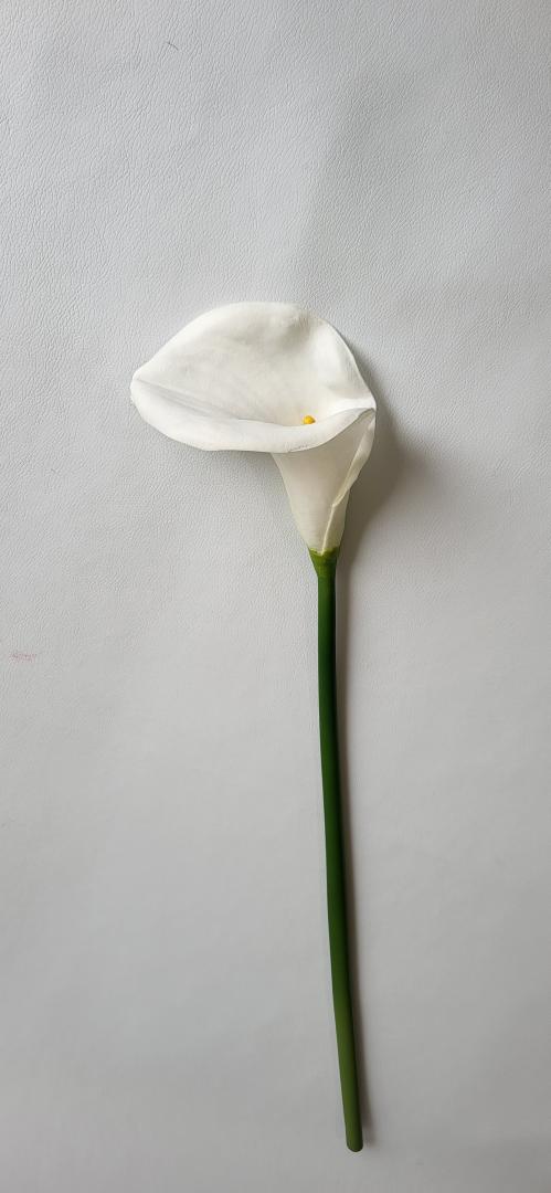 Calla Burete Mare