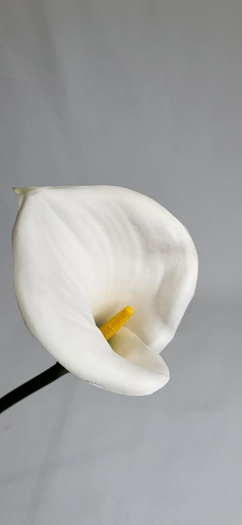 Calla Burete Mare