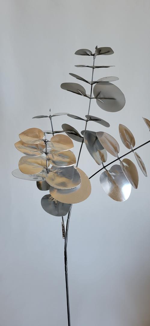 Creanga Eucalipt Argintiu