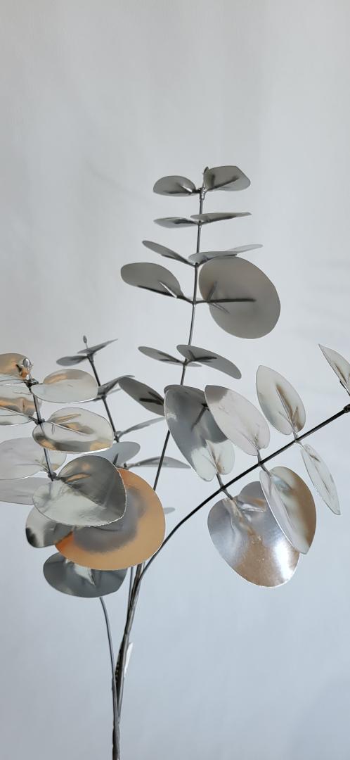 Creanga Eucalipt Argintiu