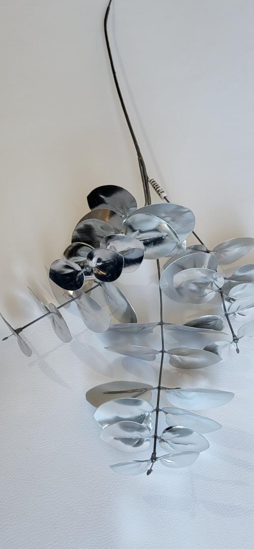 Creanga Eucalipt Argintiu