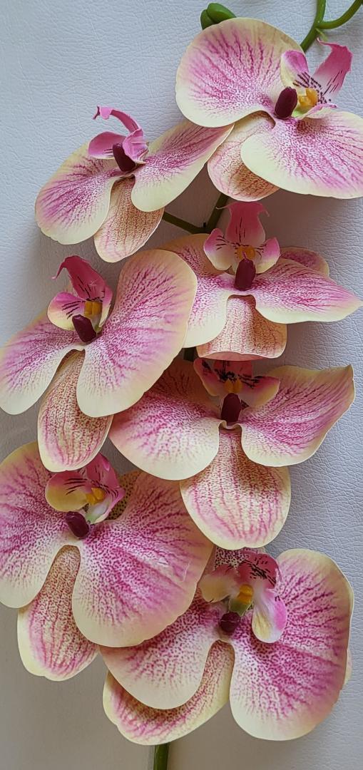 Orhidea Artificiala Siliconata Roz-Crem 7 capete