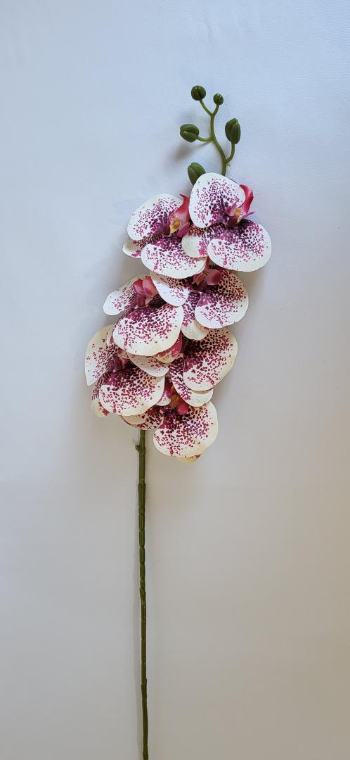 Orhidea Artificiala Siliconata Crem-Visiniu 7 capete