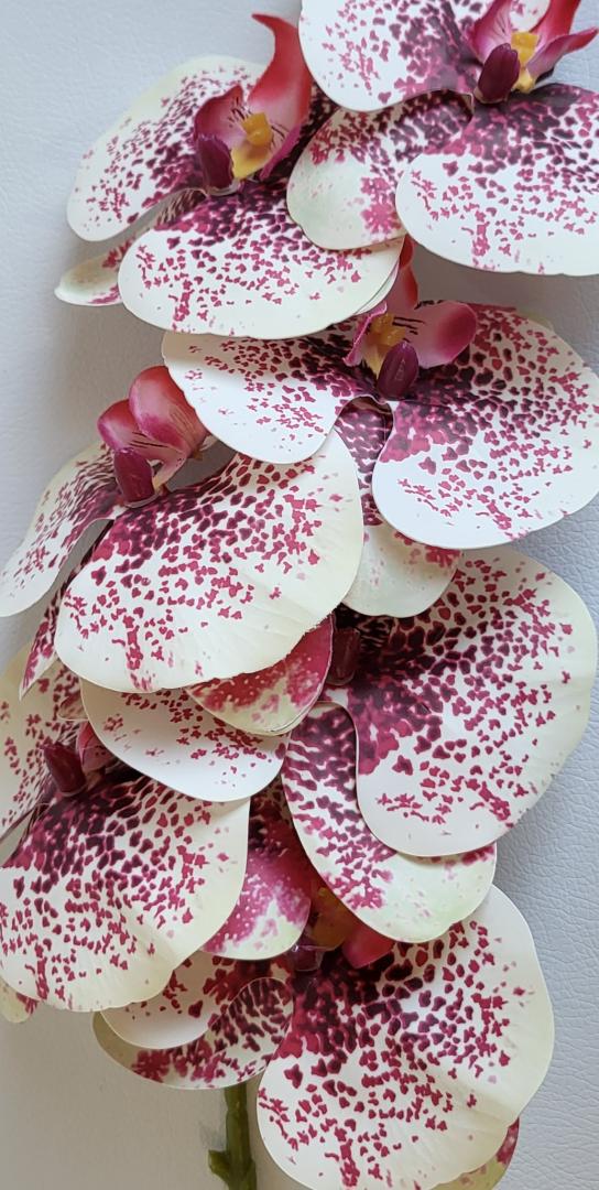 Orhidea Artificiala Siliconata Crem-Visiniu 7 capete