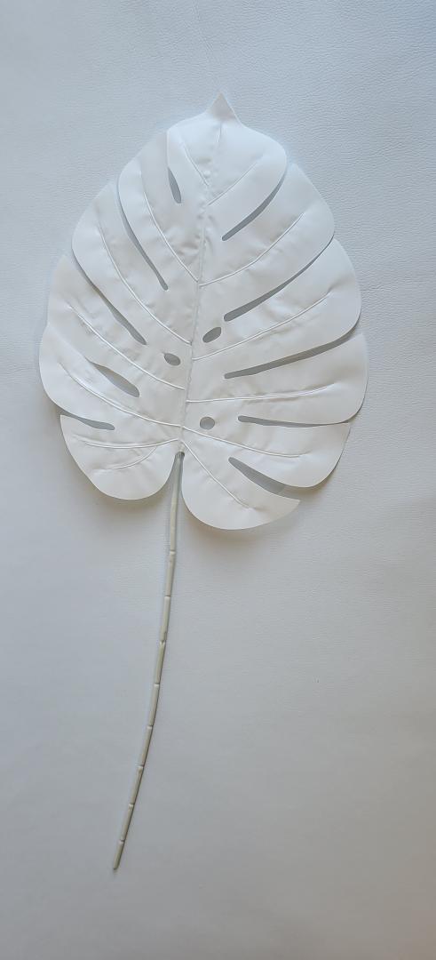 Frunza Monstera Alb