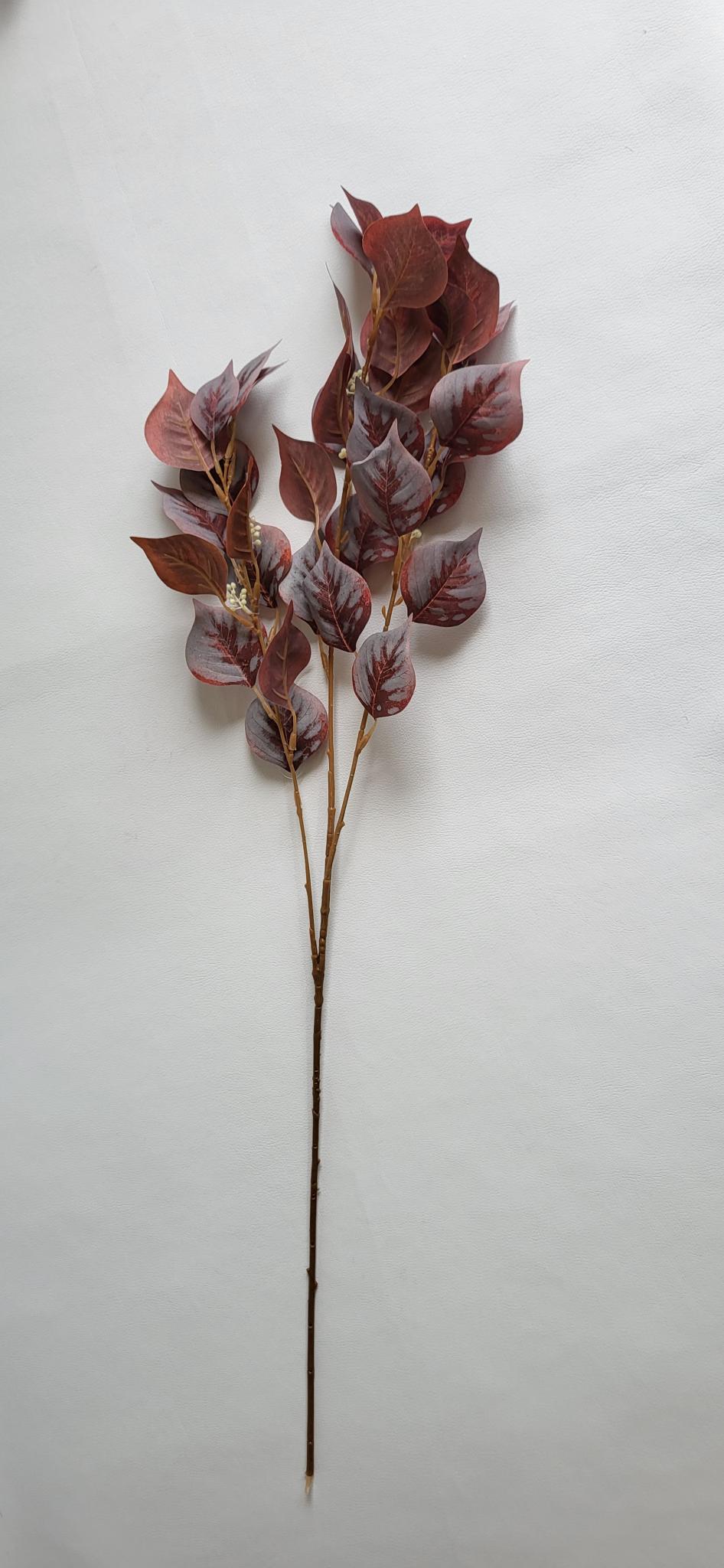 Creanga de Frunza Tip3