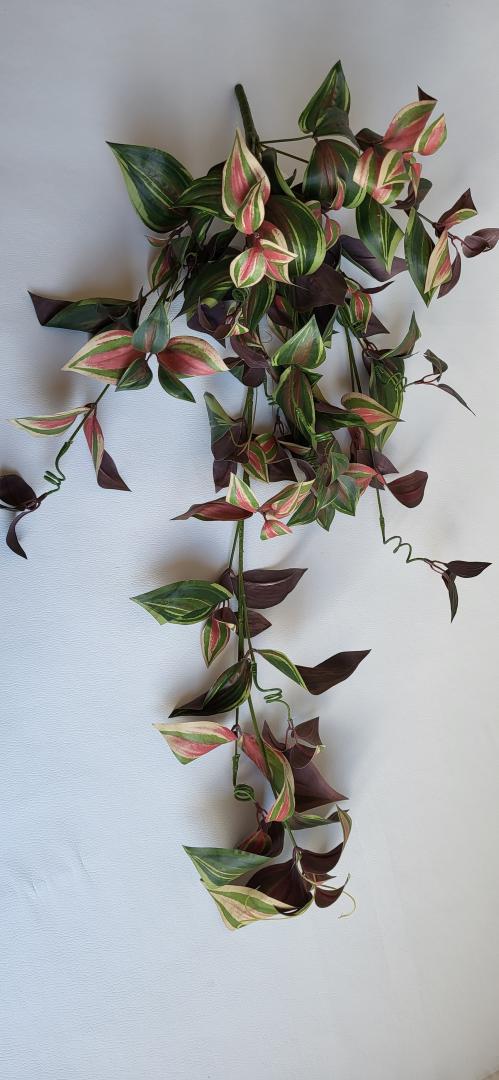 Buchet Curgator Colorat