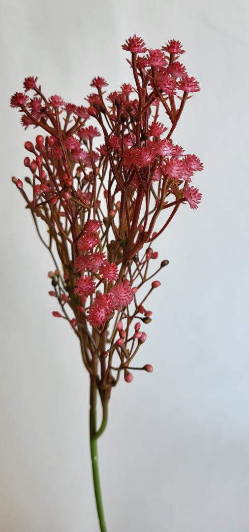 Gipsofhila Artificiala bordo