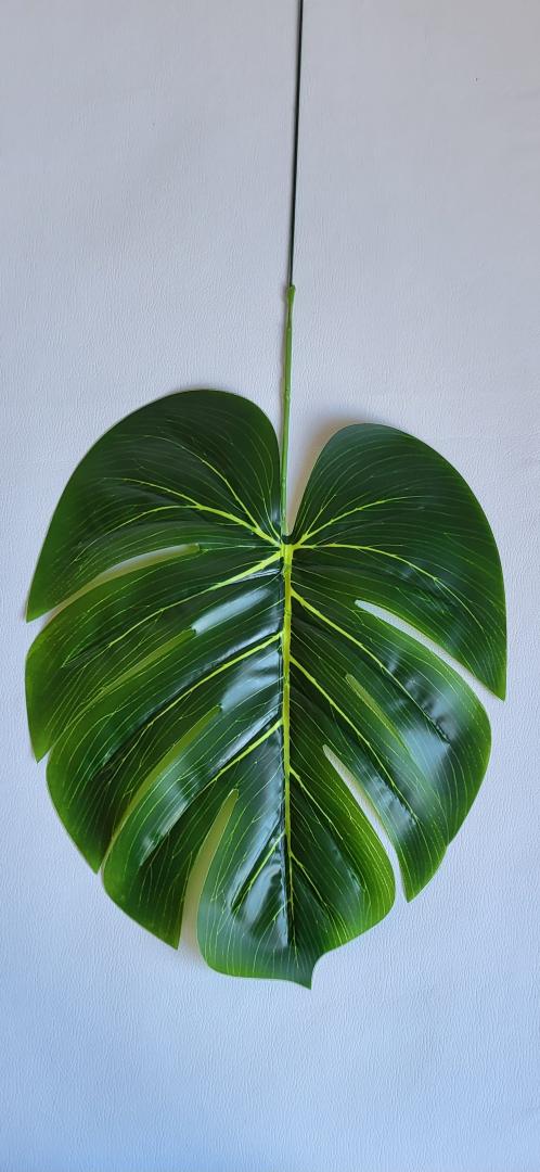 Frunza Monstera  Mare Verde