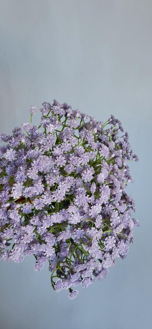 Gipsophila Artificiala Mov