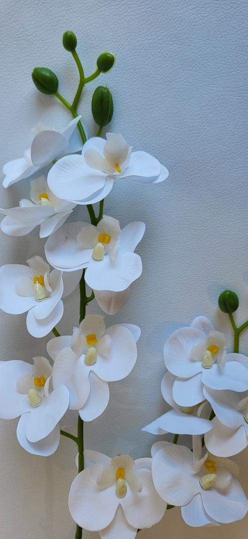 Mini Orhidee 2fire Albe