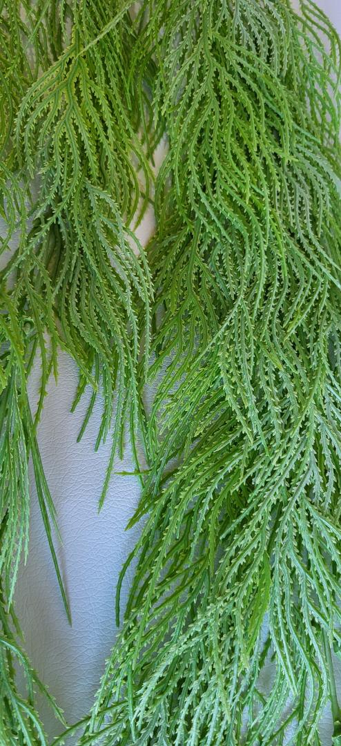 Buchet Verdeata Curgator Verde Deschis