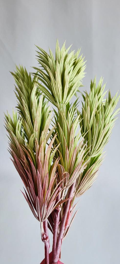 Buchet Verdeata Roz-Verde