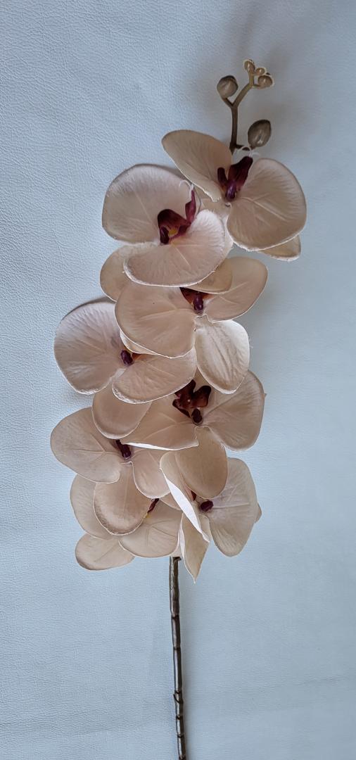 Orhidea Artificiala Textil Crem-Bordo
