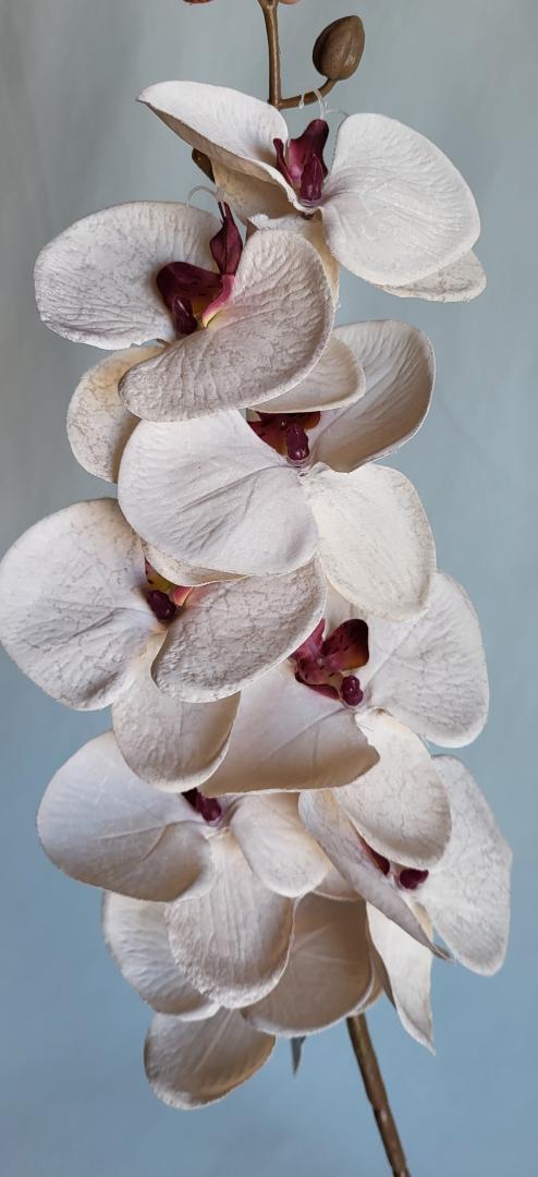 Orhidea Artificiala Textil Crem-Bordo