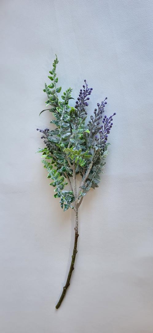 Creanga cu Bobite Mov