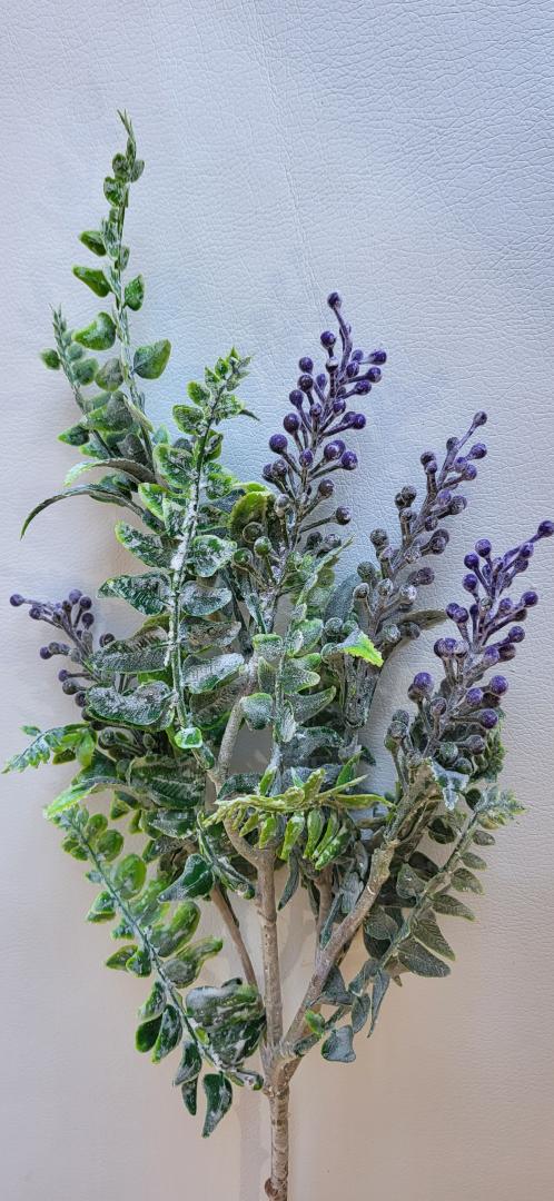 Creanga cu Bobite Mov