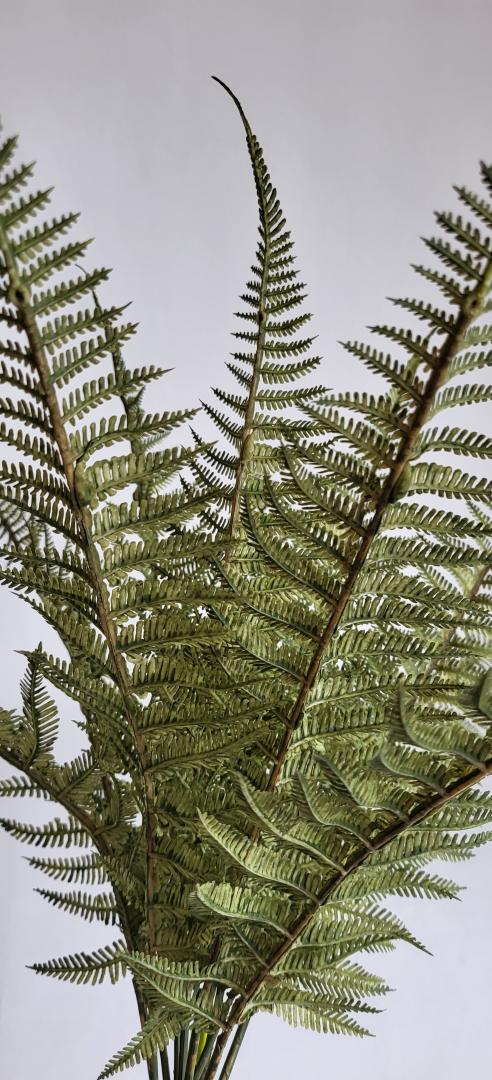 Buchet Feriga Artificiala 11 frunze Verde