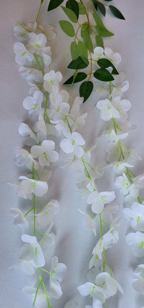 Wisteria Artificiala Crem