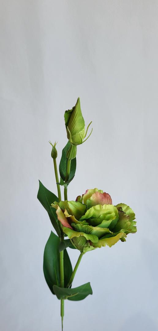 Lizianthus Artificial Green B.C.