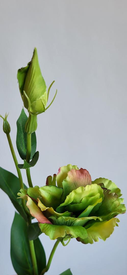 Lizianthus Artificial Green B.C.