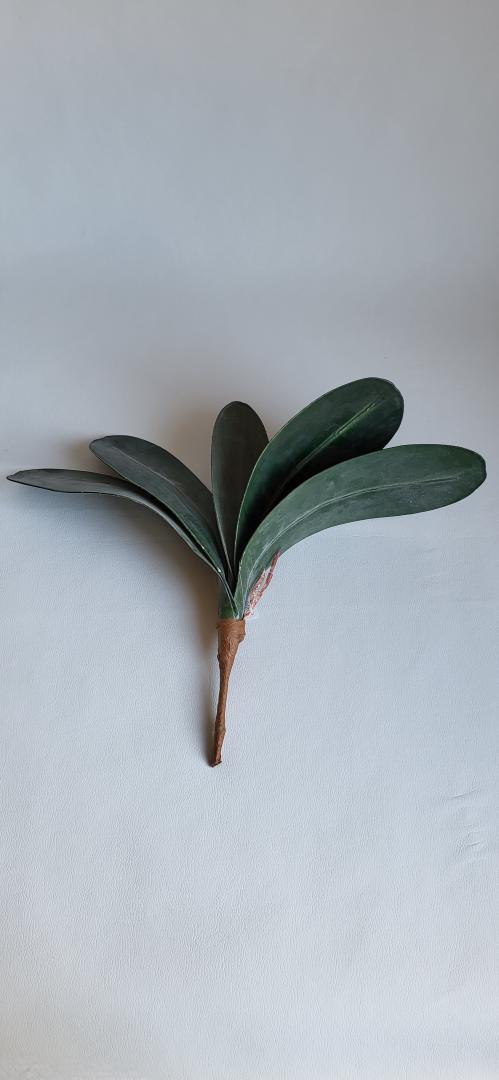 Frunza Orhidee Artificiala 5frunze