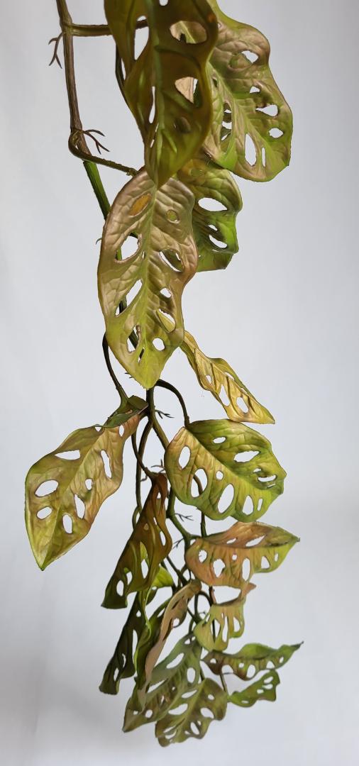 Girlanda Frunze  Silikonata