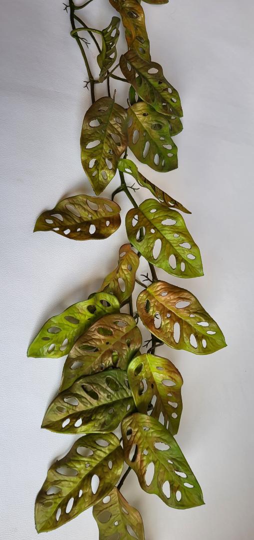 Girlanda Frunze  Silikonata