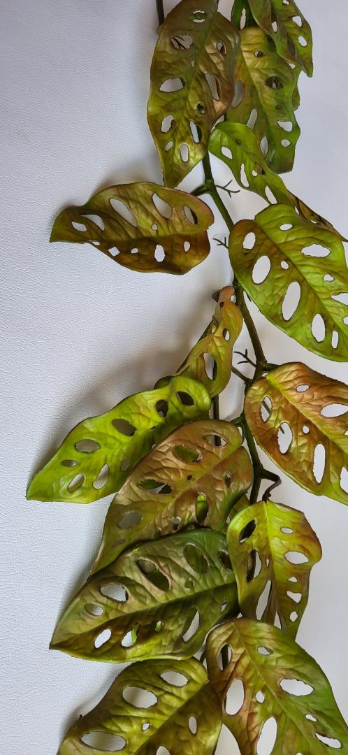 Girlanda Frunze  Silikonata