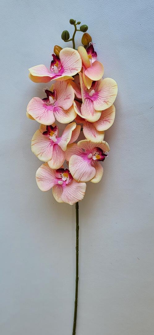 Ordidee Textil 8capete Color19