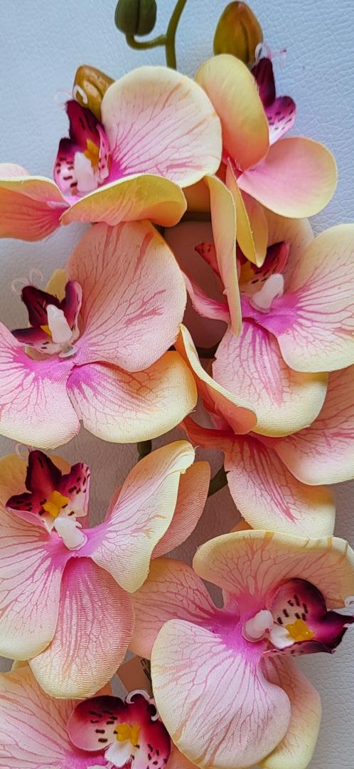 Ordidee Textil 8capete Color19