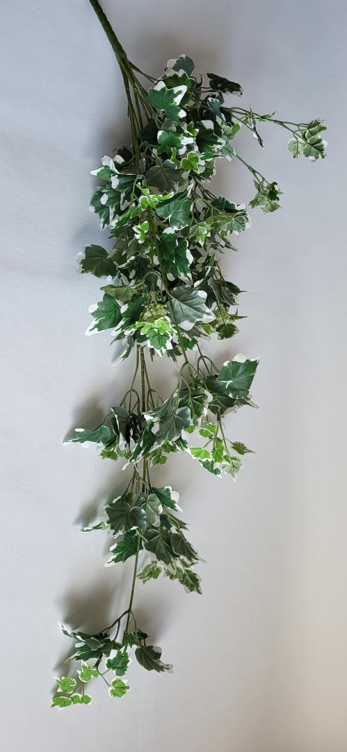 Buchet Iedera Curgator Alb-Verde