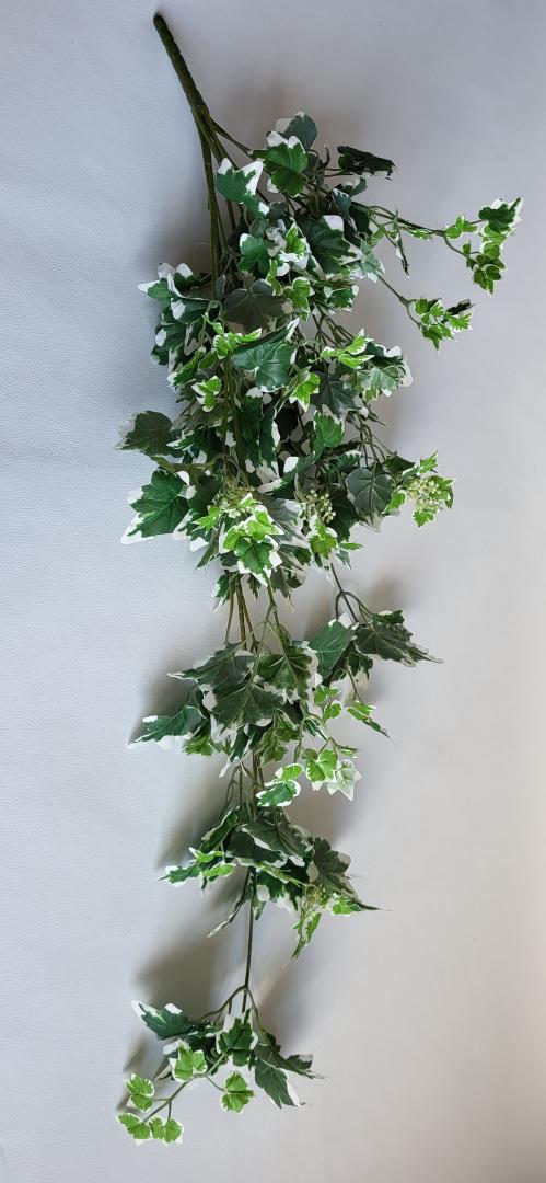 Buchet Iedera Curgator Alb-Verde