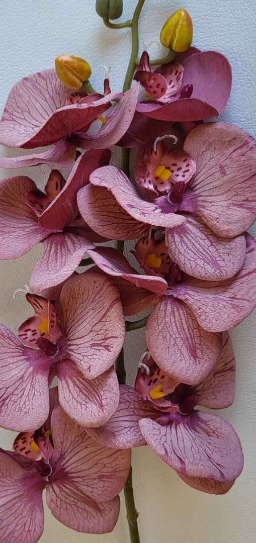 Ordidee Textil 8capete Color21