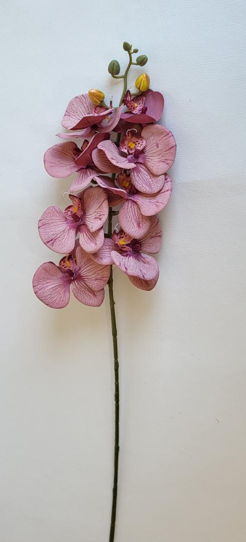 Ordidee Textil 8capete Color21