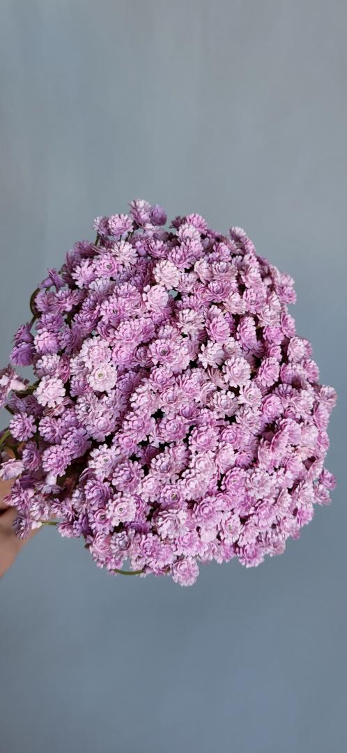 Gipsophila Artificiala Ticlam