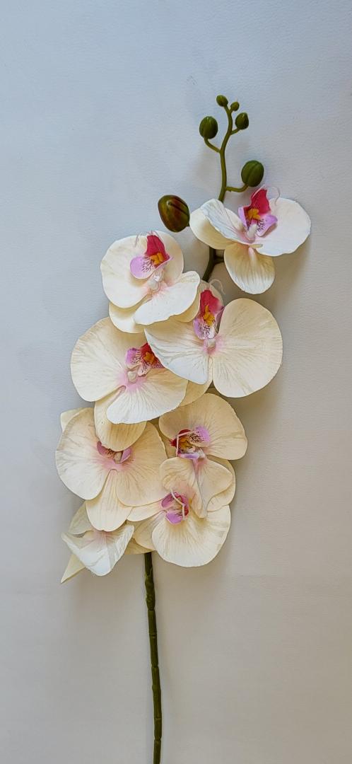 Orhidee Artificiala 8 capete Crem