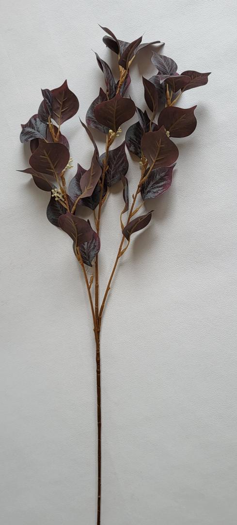 Creanga de Frunza Tip1