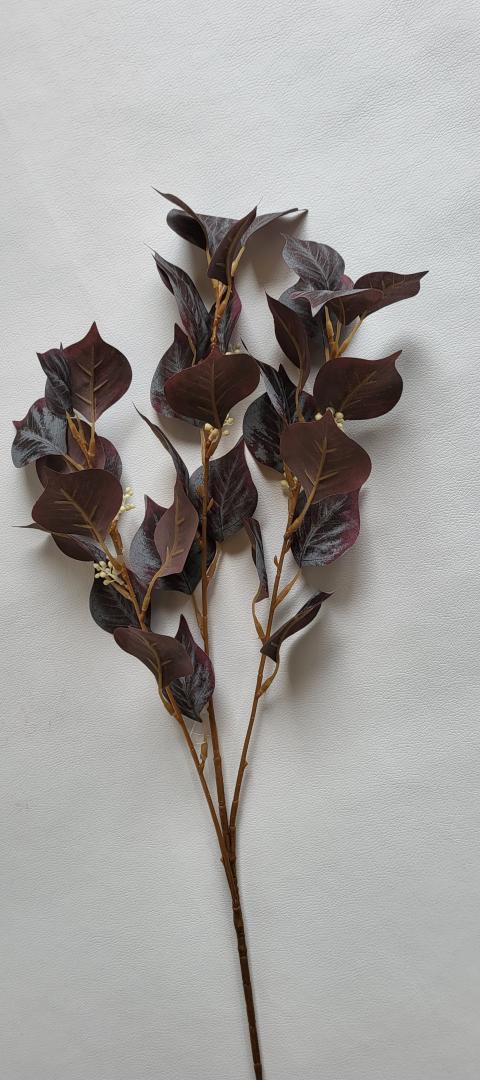 Creanga de Frunza Tip1