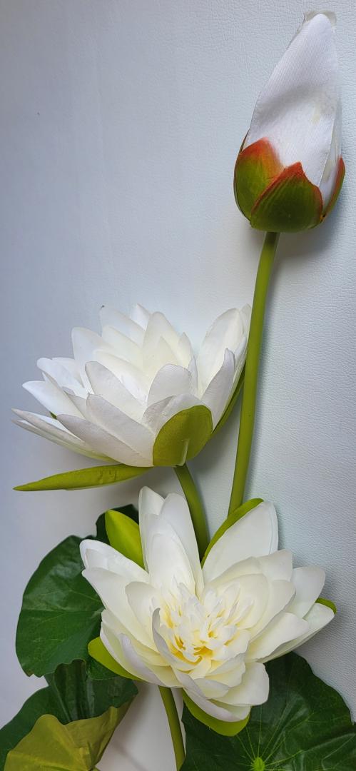 Floare Lotus Artificial Alb