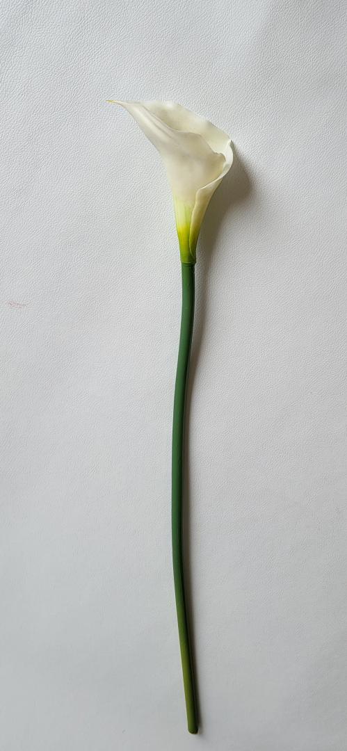 Calla Siliconata Alba