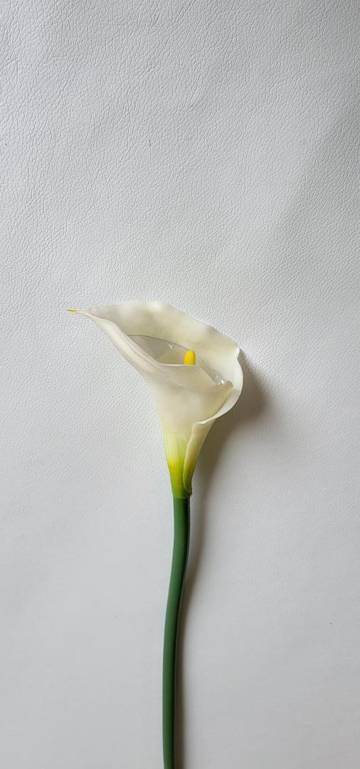 Calla Siliconata Alba