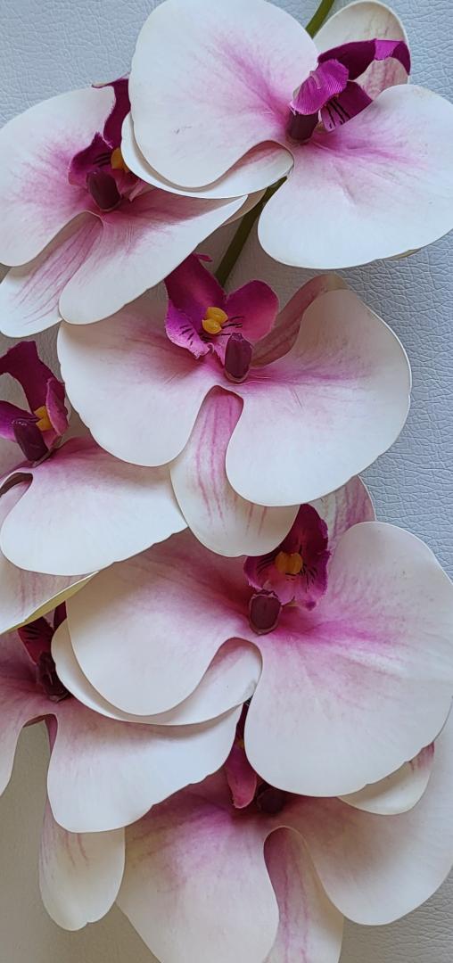 Orhidea Artificiala Siliconata Alb-Ticlam 7 capete