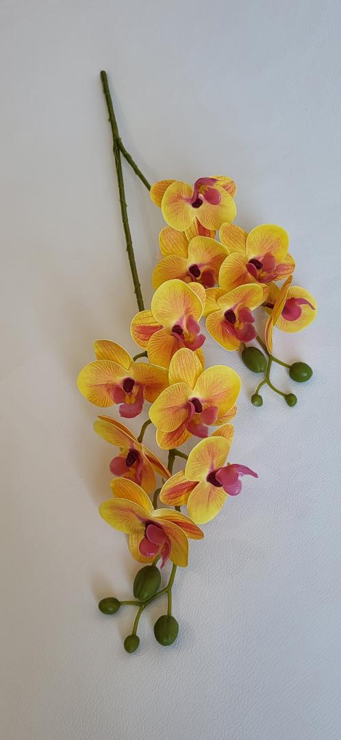 Mini Orhidee 2fire Galben