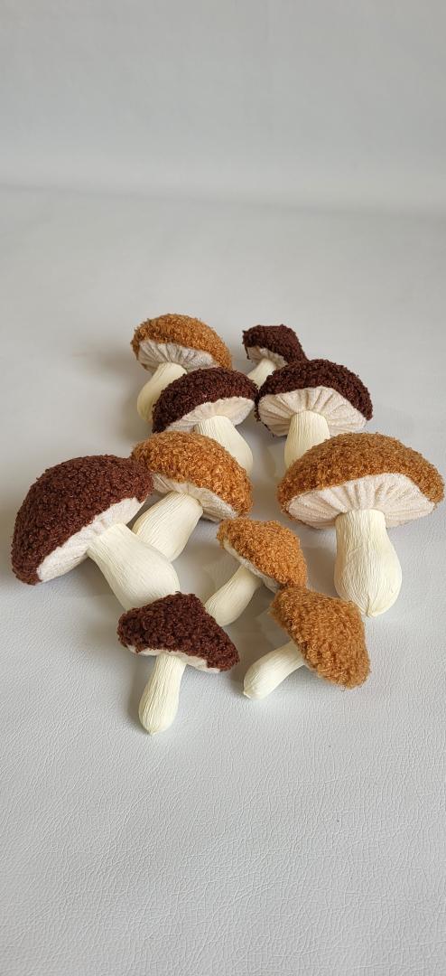 Ciuperci Artificiali Plasa