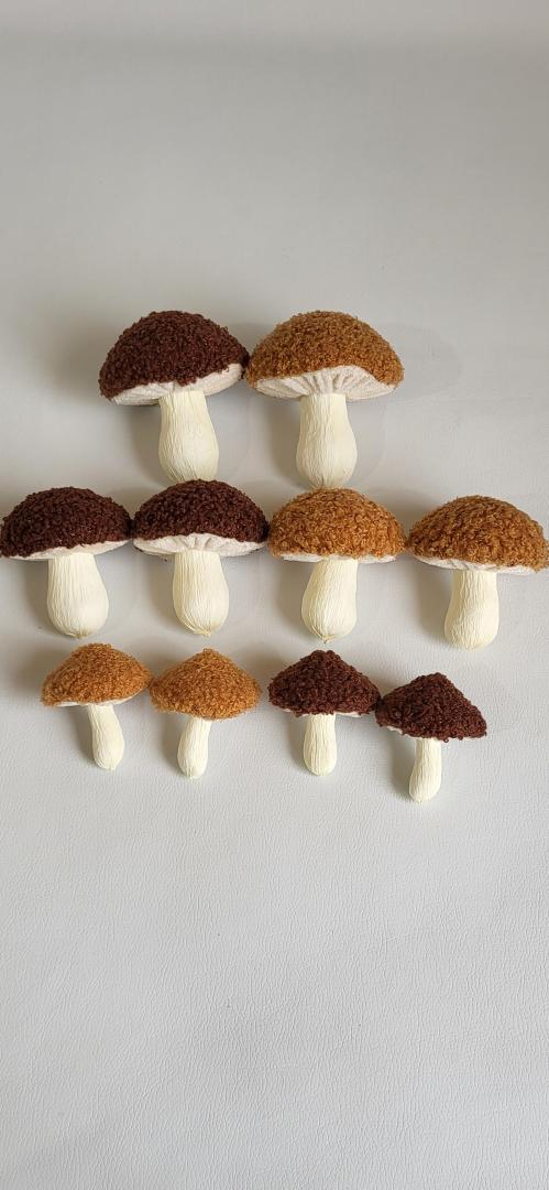 Ciuperci Artificiali Plasa