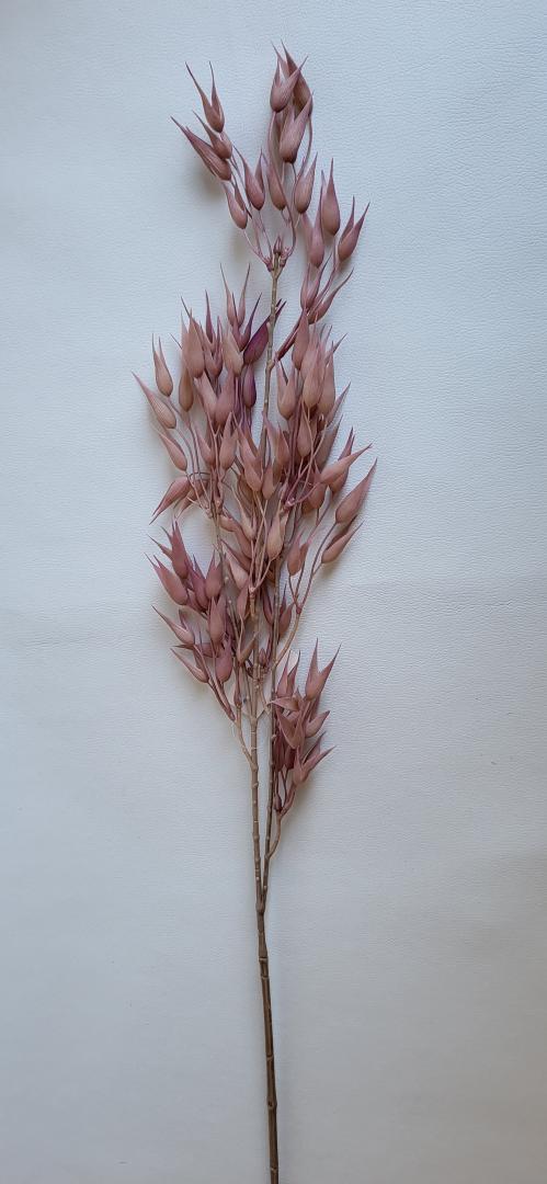 Creanga Decorativa Roz-Plamaniu